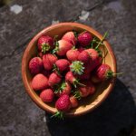 24_06_25_Trigonos_0138