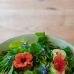 24_06_25_Trigonos_0252