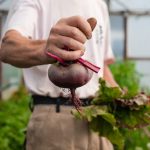 24_06_25_Trigonos_0416